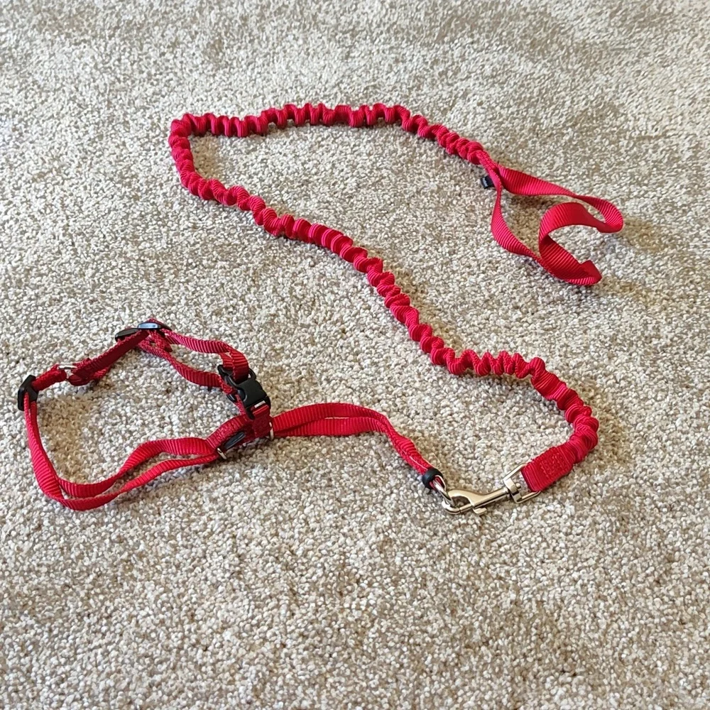 Cat Harness and Leash